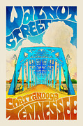 Walnut Street Poster Photograph by Steven Llorca
