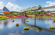 Walt Disney World EPCOT Flower Festival Photograph by Robert Bellomy