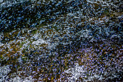 Water Art 13 Photograph by Bill Posner
