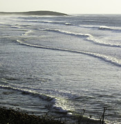 Water World Photograph by Joyce Creswell
