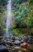 Waterfall and Flowers Photograph by Daniel Murphy