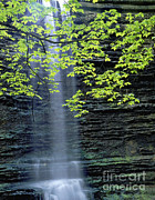 Waterfall In Illinois Photograph by Willard Clay Waterfall In Illinois Photograph by Willard Clay