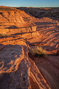 WaterHole Canyon Sunset Vista Photograph by Lon Dittrick