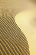 Wave of Gold Photograph by Andy Bitterer