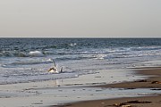 Waves on Driftwood Photograph by Robert Banach