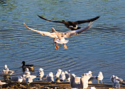 We Have Lift Off Photograph by Holden The Moment We Have Lift Off Photograph by Holden The Moment