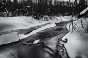 Weber Creek Photograph by Dan Hefle