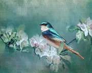 Welcome Spring Photograph by Cathy Kovarik