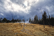 West Thumb Geyser Basin   Photograph by Lars Lentz