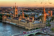 Westminster Palace Photograph by Tim Stanley