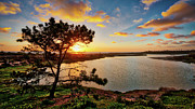 What a Glow at the Batiquitos Lagoon Photograph by David Levin