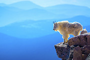 What A View Photograph by John De Bord