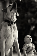 What Is That Photograph by Stelios Kleanthous