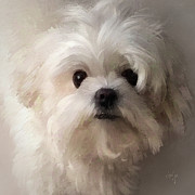 When All Else Fails Digital Art by Lois Bryan