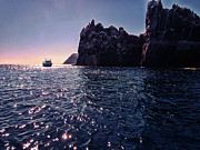 Where Sea Lions Live Photograph by Becqi Sherman Where Sea Lions Live Photograph by Becqi Sherman