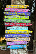Which Way to Go Photograph by Dawna Moore Photography