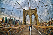 Whirled Wide Web Photograph by Neil Shapiro