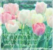 Whispering Tulips Digital Art by Pamela Smale Williams