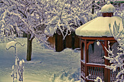 Whispers in the Snow Photograph by Mike Smale Whispers in the Snow Photograph by Mike Smale