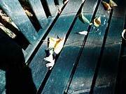 Whispers Of Winter Photograph by Deborah Kunesh