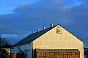 Petersheim's Barn on Blue Photograph by Tana Reiff