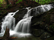 White Mountains Waterfall Photograph by Juergen Roth White Mountains Waterfall Photograph by Juergen Roth