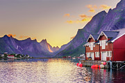 White night in Reine Photograph by Dmytro Korol