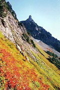 Whitehorse North Cascades Washington 2000 Photograph by Leizel Grant