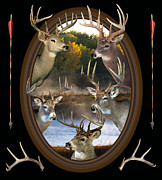 Whitetail Dreams Photograph by Shane Bechler Whitetail Dreams Photograph by Shane Bechler