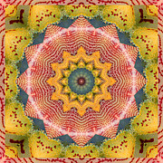 Wholeness Photograph by Bell And Todd