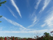 Wild Blue Yonder Photograph by Peggy King