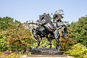 Wild Stallions II Photograph by Darrell Foster
