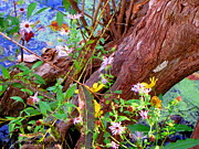 Wildflowers on a Cypress Knee Photograph by Barbara Bowen Wildflowers on a Cypress Knee Photograph by Barbara Bowen