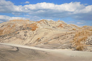 Wind Blown - Pea Island 7464 Photograph by Dan Beauvais