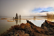 Window of Opportunity Photograph by Andrew Kumler