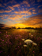 Windsong Photograph by Phil Koch