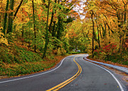 Windy Fall Road in New York Photograph by Alissa Beth Photography