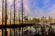 Winter at Quaker Bridge Photograph by Louis Dallara