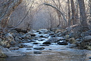 Winter Creek Photograph by Christy Pooschke Winter Creek Photograph by Christy Pooschke