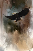 Winter Eagle 1 Photograph by Jai Johnson