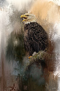 Winter Eagle 3 Photograph by Jai Johnson