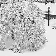 Winter hangs on Photograph by Izet Kapetanovic Winter hangs on Photograph by Izet Kapetanovic
