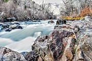 Winter Hues Photograph by Michael Brungardt
