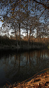 Winter in Texas Photograph by Karen Musick