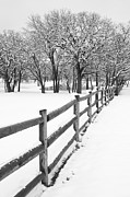 Winter Photograph by Mike Irwin
