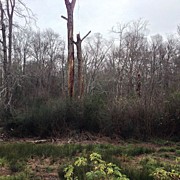 Winter On Metro Atlanta Photograph by Daniel Eskridge