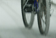Winter Ride Photograph by Linda Shafer