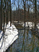 Winter Stream Photograph by Jackson Pearson