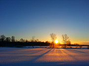 Winter Warm  Photograph by Brook Burling
