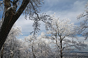 Winter's Arrival Photograph by Lois Bryan